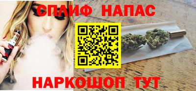 прущие грибы Краснодар