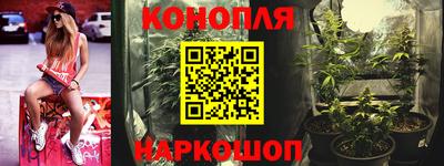 прущие грибы Краснодар