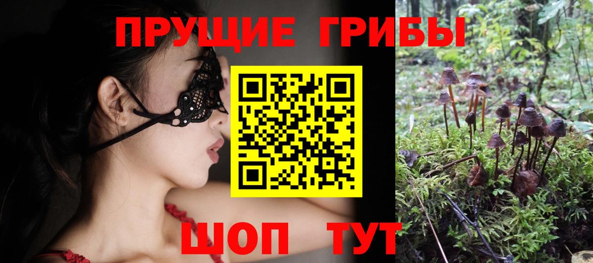 Псилоцибиновые грибы Psilocybine cubensis Донецк